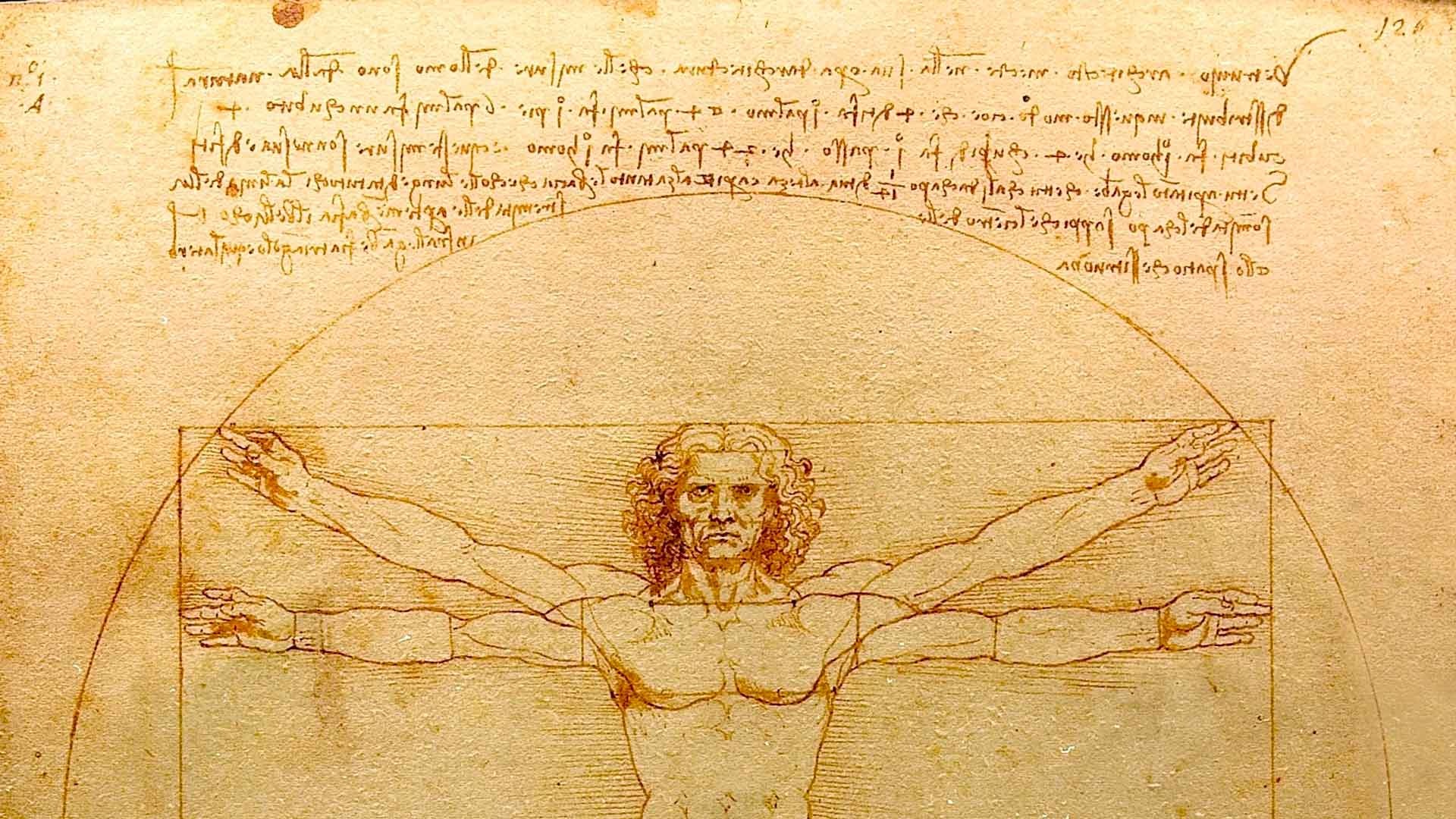Uomo Vitruviano di Leonardo da Vinci, elemento visivo presente nell'area di accoglienza dello Studio Medico Tesoriera